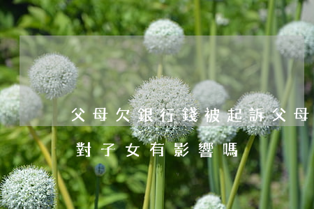 父母欠銀行錢被起訴(父母欠銀行錢被起訴會對子女有影響嗎)