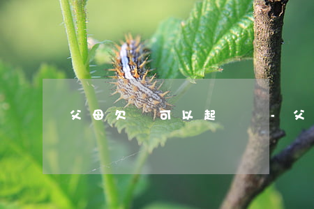 父母欠錢可以起訴嗎-父母欠錢可以起訴嗎