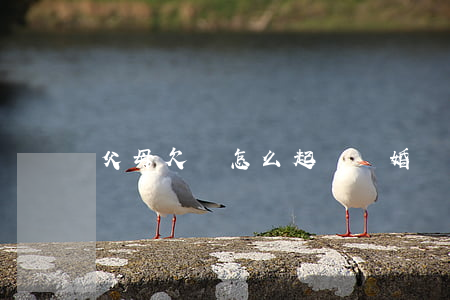 父母欠錢怎么起訴離婚