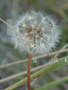 父母欠錢被起訴對子女 父母欠錢被起訴對子女當兵有影響嗎