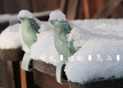 父母欠錢被起訴怎么辦(父母因為欠錢被訴訟)