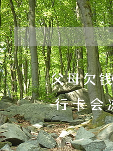 父母欠钱能起诉子女(父母欠钱起诉子女的银行卡会冻结吗)