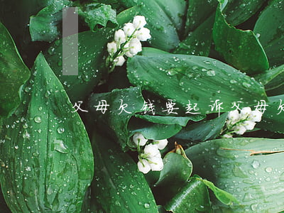 父母欠钱要起诉(父母欠钱要起诉吗)