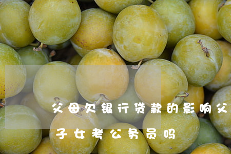 父母欠银行贷款的影响(父母欠银行贷款影响子女考公务员吗)