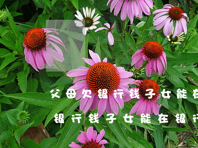 父母欠银行钱子女能在银行上班么-父母欠银行钱子女能在银行上班么吗