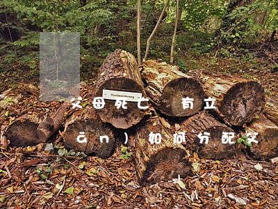 父母死亡沒有立遺囑財(cái)產(chǎn)如何分配(父親去世沒有立遺囑房產(chǎn)怎么分)