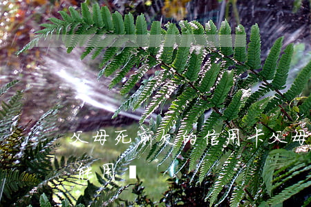 父母死前欠的信用卡(父母死前欠的信用卡還能用嗎)