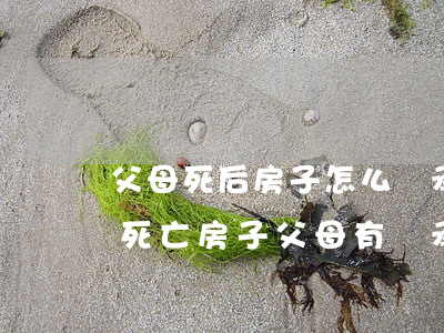 父母死后房子怎么繼承權(quán)(兒女死亡房子父母有繼承權(quán))