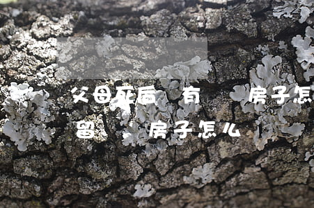 父母死后沒有遺囑房子怎么繼承(父親去世沒留遺囑房子怎么辦)