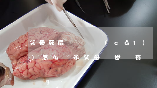 父母死后無遺囑財(cái)產(chǎn)怎么繼承(父母過世沒有遺囑子女可一直接繼承房產(chǎn)?)