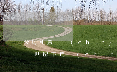 父母死后財產(chǎn)怎么繼承人(父母過世留下房產(chǎn)怎么繼承)