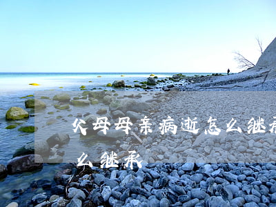 父母母亲病逝怎么继承(父亲过世房产母亲怎么继承)