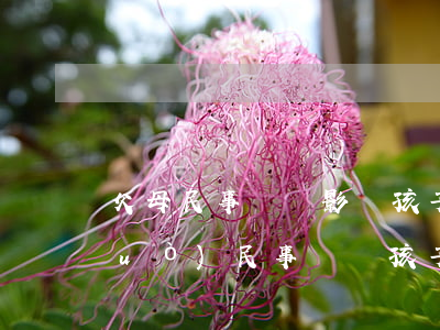 父母民事糾紛影響孩子政審嗎(父母有過(guò)民事糾紛孩子政審會(huì)有影響嗎)