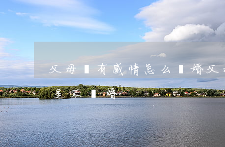 父母沒有感情怎么離婚(父母感情不好離婚還是不離婚)