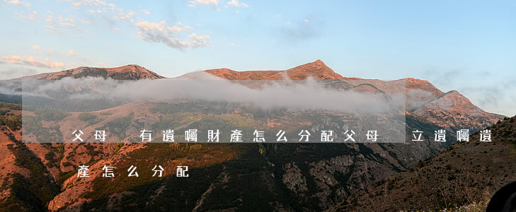 父母沒有遺囑 財產怎么分配(父母沒立遺囑遺產怎么分配)