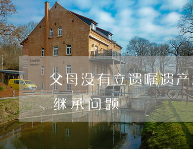 父母没有立遗嘱遗产怎么继承(父母没留遗嘱继承问题)