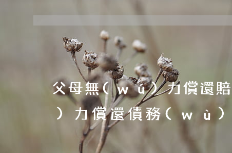 父母無(wú)力償還賠償款 父母無(wú)力償還債務(wù)兒女有責(zé)任嗎
