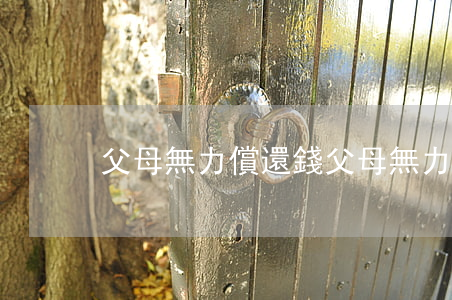 父母無力償還錢(父母無力償還債務(wù))