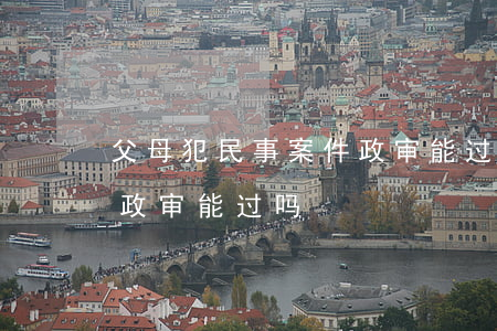 父母犯民事案件政审能过吗(父母被判过刑的政审能过吗)