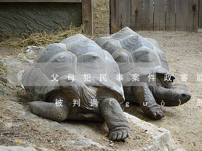 父母犯民事案件政審能過(guò)嗎(父母被判過(guò)刑的政審能過(guò)嗎)