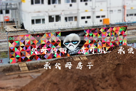 父母的回遷房可以繼承使用嗎(父母還在,可以繼承父母房子嗎)