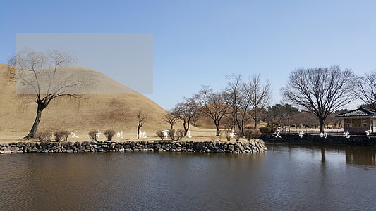 父母的地可以繼承嗎(父母的地可以繼承嗎)