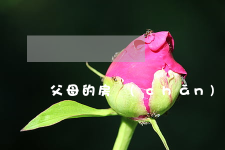 父母的房產(chǎn)如何繼承