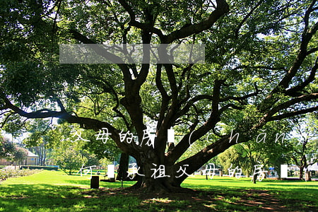 父母的房產(chǎn)怎么樣繼承合適(如何繼承祖父母的房產(chǎn))