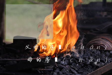 父母的房產(chǎn)怎么樣繼承合適(父母的房產(chǎn)哪些人可以繼承)