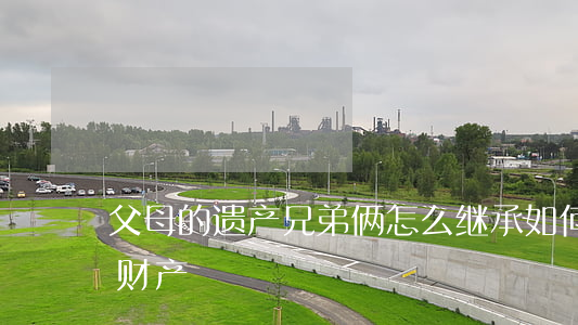 父母的遗产兄弟俩怎么继承(如何继承父母的财产)