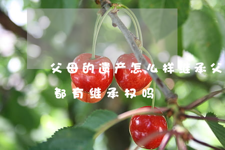 父母的遗产怎么样继承(父母的遗产所有子女都有继承权吗)