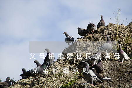 父母相繼離世同父異母怎么繼承(同父異母的兄弟能繼承嗎)