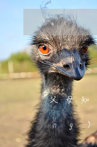 父母知道你欠網(wǎng)貸(欠網(wǎng)貸告訴父母)