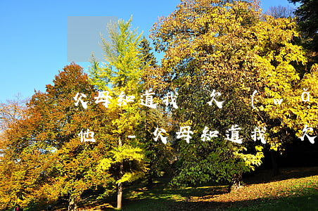 父母知道我們欠網(wǎng)貸怎么安慰他們-父母知道我們欠網(wǎng)貸怎么安慰他們呢