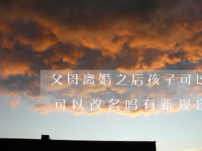 父母离婚之后孩子可以改名吗(父母离婚孩子可以改名吗?有新规定吗)