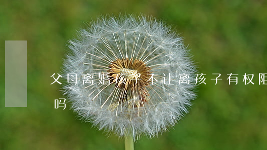 父母离婚孩子不让离(孩子有权阻止父母离婚吗)