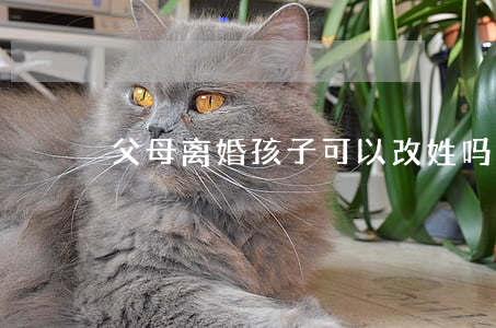 父母离婚孩子可以改姓吗