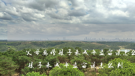 父母离婚孩子未成年盗窃该怎么判(父母离婚孩子未成年盗窃该怎么判)