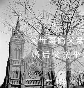 父母离婚父亲坐牢对子女有什么影响(爸妈离婚后,父亲坐牢,对儿子有什么影响)