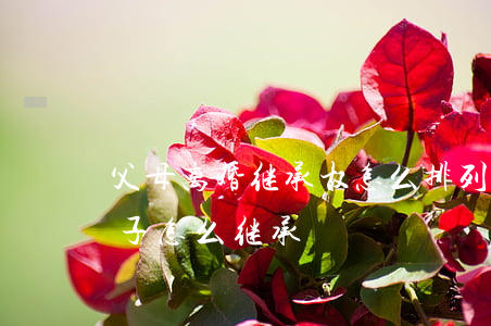 父母离婚继承权怎么排列(离婚父母的财产孩子怎么继承)