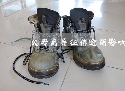 父母离异征信逾期影响小孩升学