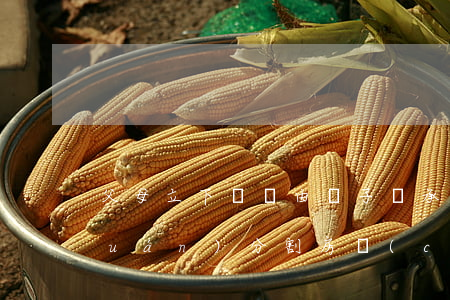 父母立下遺囑由兒子繼承，兒媳是否有權(quán)分割房產(chǎn)