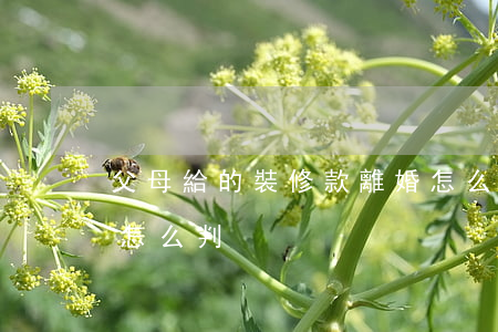 父母給的裝修款離婚怎么算(離婚房子裝修費怎么判)