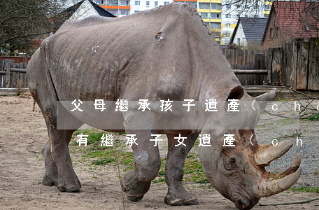 父母繼承孩子遺產(chǎn)叫什么(父母有繼承子女遺產(chǎn)的權(quán)利嗎)