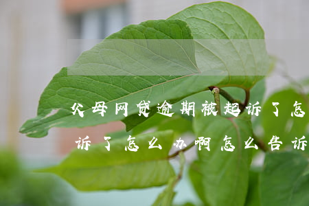 父母网贷逾期被起诉了怎么办(网贷逾期被起诉了怎么办啊怎么告诉父母)