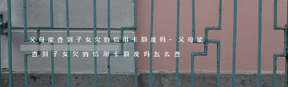 父母能查到子女欠的信用卡额度吗-父母能查到子女欠的信用卡额度吗怎么查