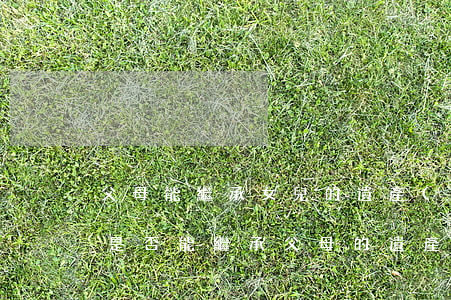 父母能繼承女兒的遺產(chǎn)嗎(女兒是否能繼承父母的遺產(chǎn)?)