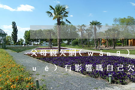 父母親欠網(wǎng)貸子女上大學(xué)有影響嗎(自己欠網(wǎng)貸影響父母貸款嗎)