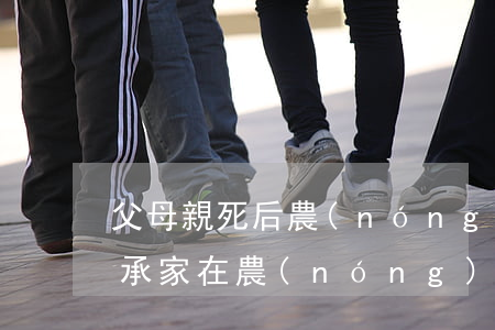 父母親死后農(nóng)村宅基證怎么繼承(家在農(nóng)村的父母去世了,宅基地怎么繼承)