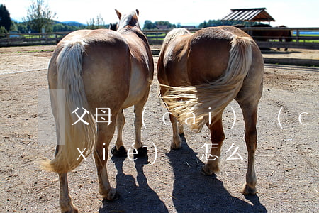 父母財(cái)產(chǎn)繼承協(xié)議怎么寫